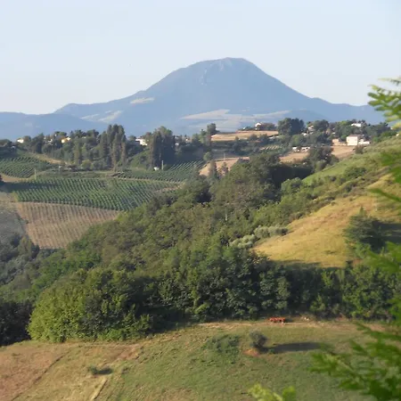 Reillys 몬테카로토